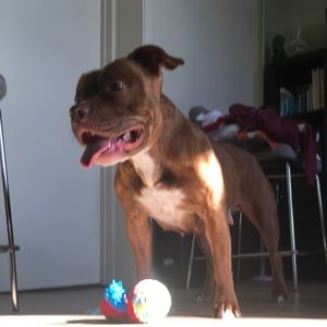 Meet your Posher, Angie